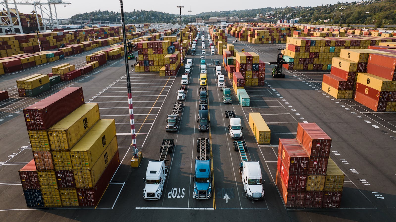 Canadian customs broker reviewing import documentation for CBSA clearance